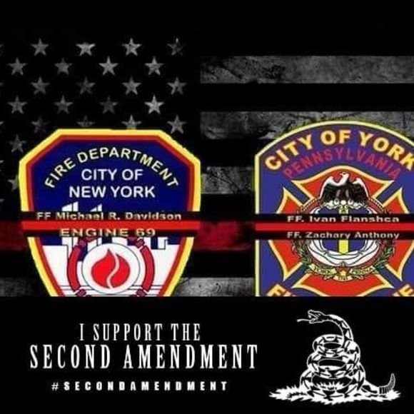 Meet your Posher, Brandon - Picture 1 of 1